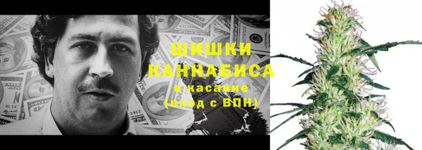 стаф Кинешма