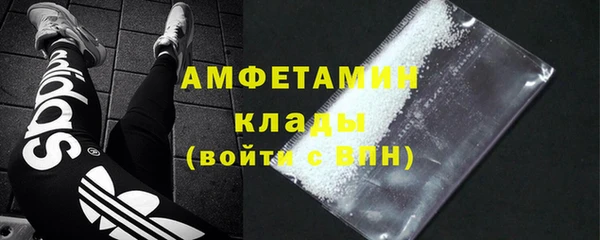 индика Балабаново