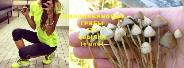 молекула духа Киреевск